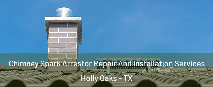 Chimney Spark Arrestor Repair And Installation Services Holly Oaks - TX