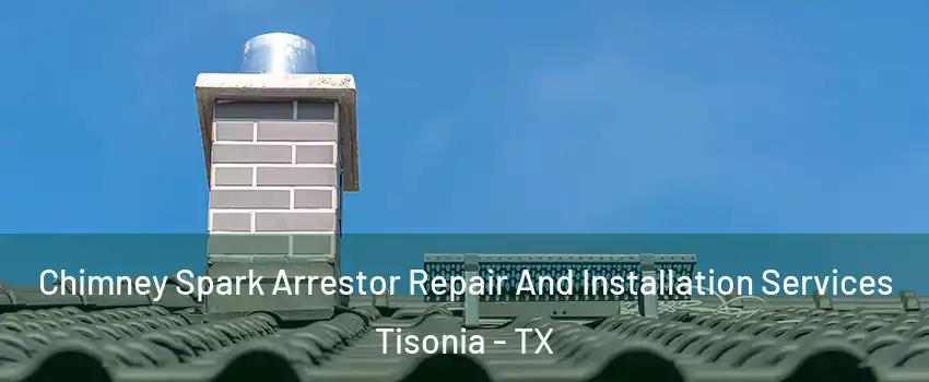 Chimney Spark Arrestor Repair And Installation Services Tisonia - TX