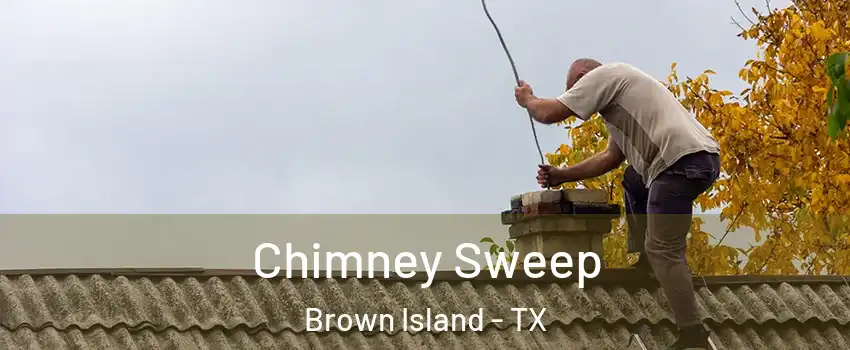 Chimney Sweep Brown Island - TX