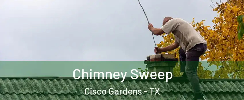 Chimney Sweep Cisco Gardens - TX