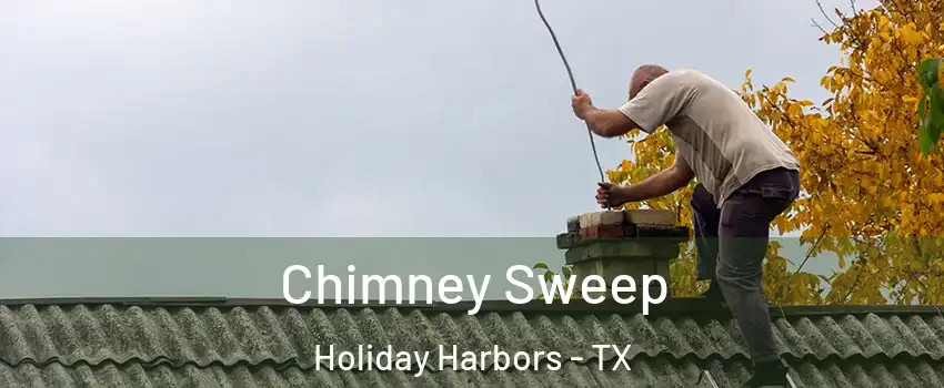 Chimney Sweep Holiday Harbors - TX