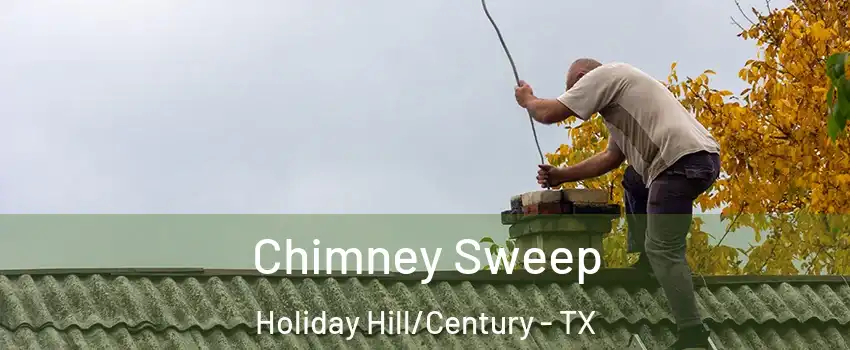 Chimney Sweep Holiday Hill/Century - TX