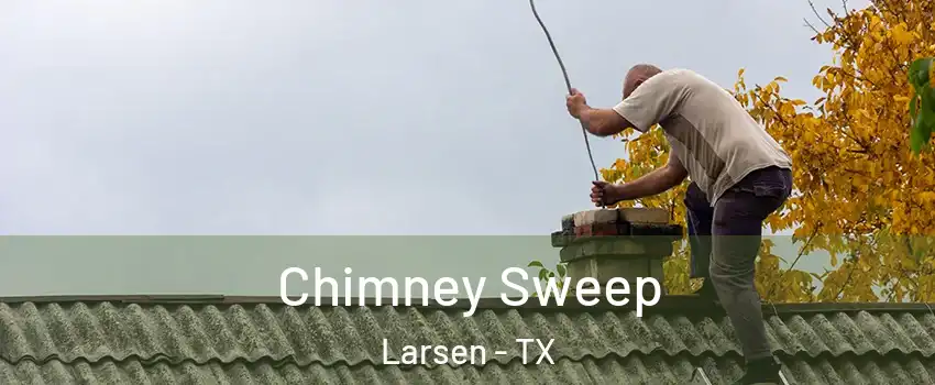 Chimney Sweep Larsen - TX