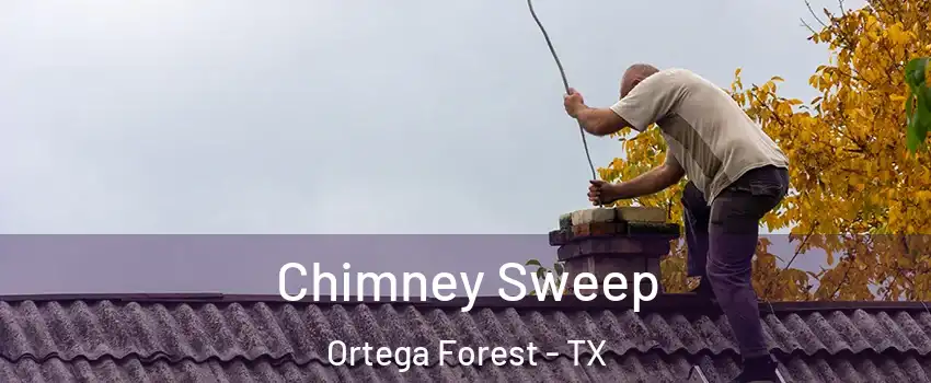 Chimney Sweep Ortega Forest - TX