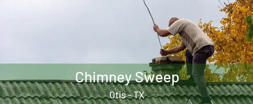 Chimney Sweep Otis - TX