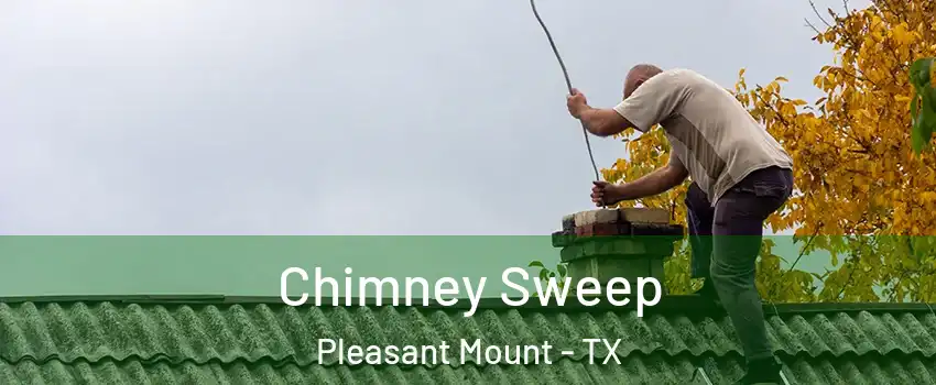 Chimney Sweep Pleasant Mount - TX