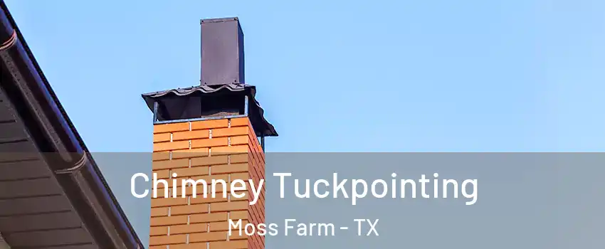 Chimney Tuckpointing Moss Farm - TX