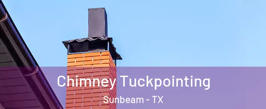 Chimney Tuckpointing Sunbeam - TX