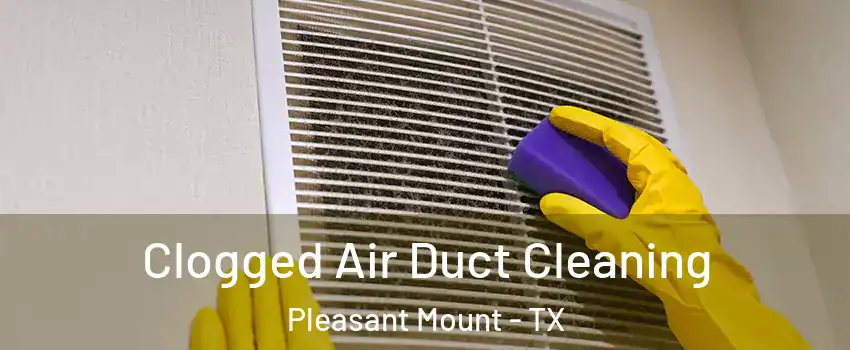 Clogged Air Duct Cleaning Pleasant Mount - TX