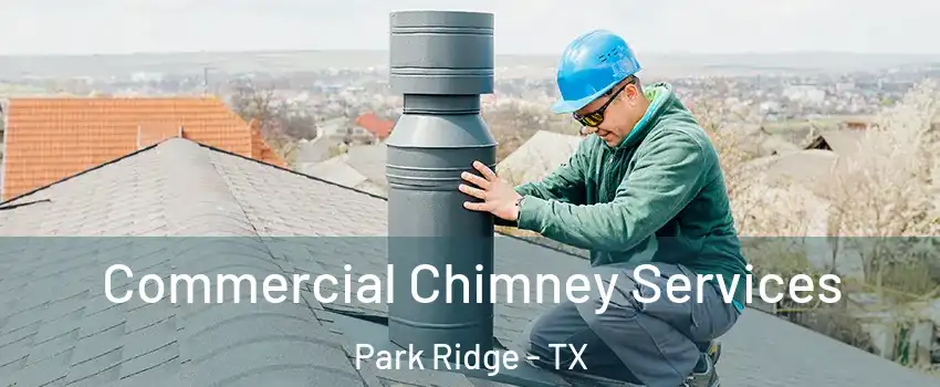 Commercial Chimney Services Park Ridge - TX