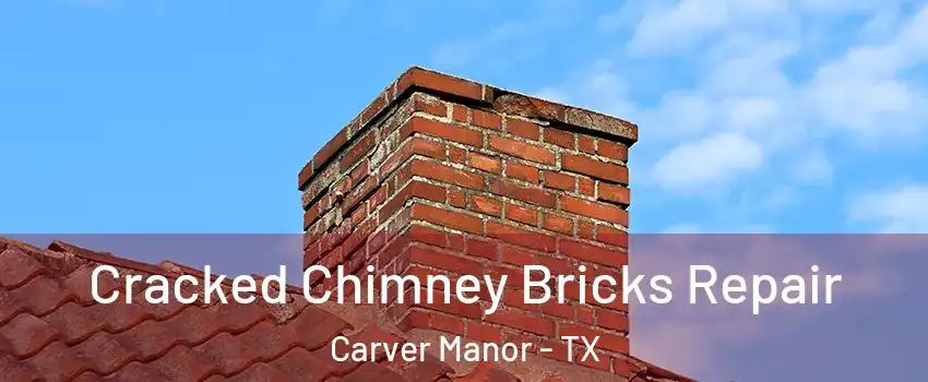 Cracked Chimney Bricks Repair Carver Manor - TX