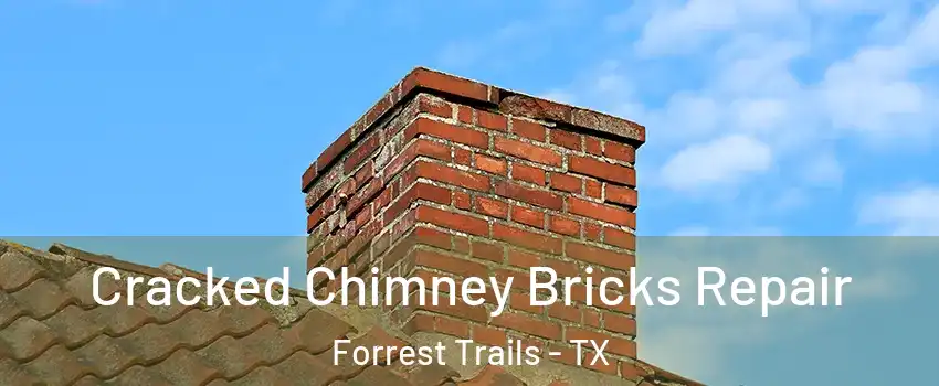 Cracked Chimney Bricks Repair Forrest Trails - TX