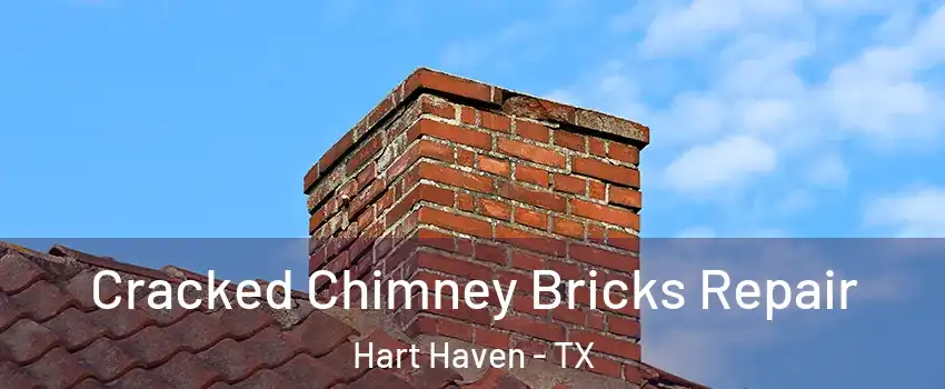 Cracked Chimney Bricks Repair Hart Haven - TX