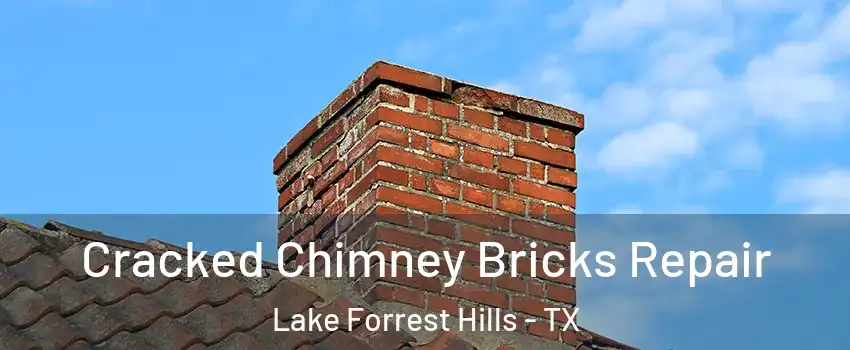 Cracked Chimney Bricks Repair Lake Forrest Hills - TX