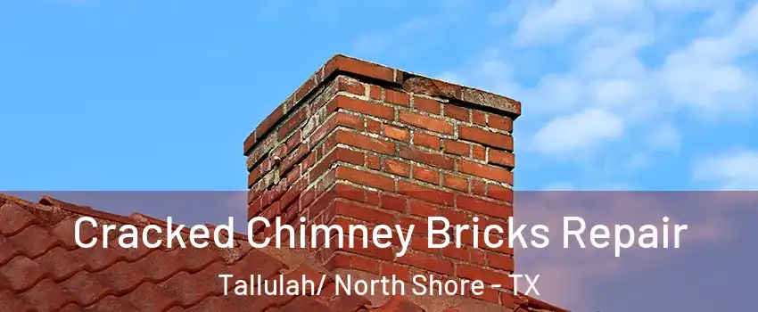 Cracked Chimney Bricks Repair Tallulah/ North Shore - TX