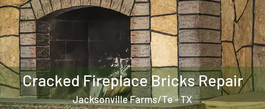 Cracked Fireplace Bricks Repair Jacksonville Farms/Te - TX