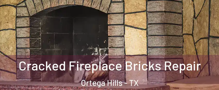 Cracked Fireplace Bricks Repair Ortega Hills - TX