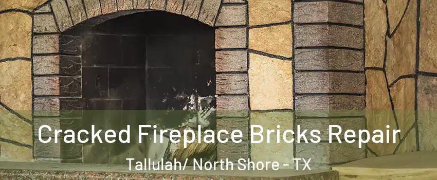 Cracked Fireplace Bricks Repair Tallulah/ North Shore - TX