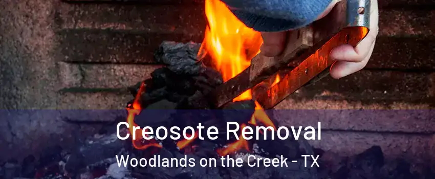 Creosote Removal Woodlands on the Creek - TX