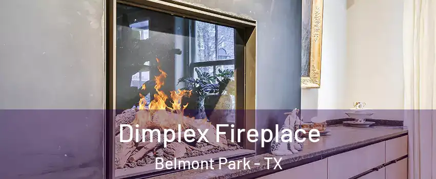 Dimplex Fireplace Belmont Park - TX