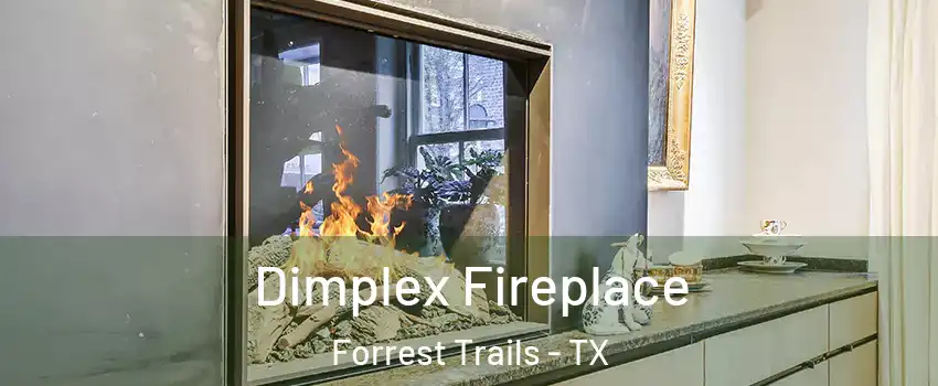 Dimplex Fireplace Forrest Trails - TX