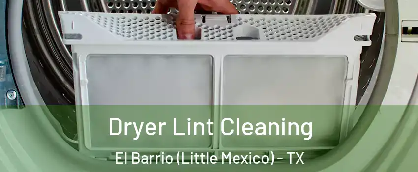 Dryer Lint Cleaning El Barrio (Little Mexico) - TX