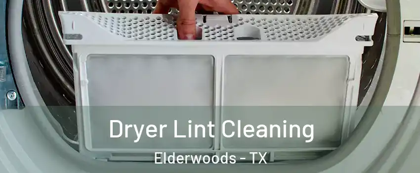 Dryer Lint Cleaning Elderwoods - TX