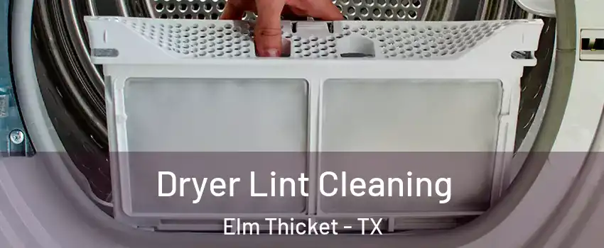 Dryer Lint Cleaning Elm Thicket - TX