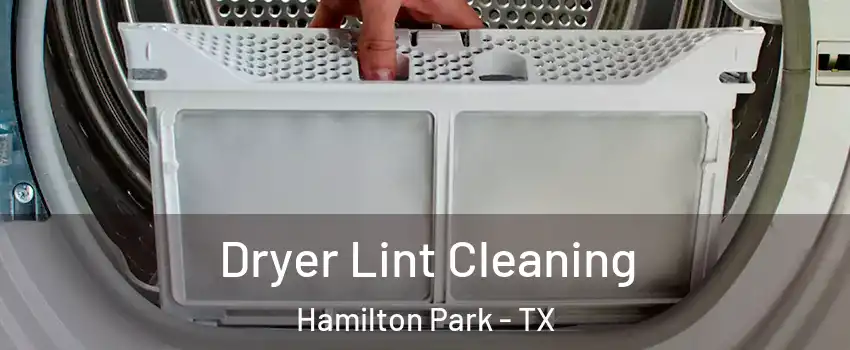 Dryer Lint Cleaning Hamilton Park - TX