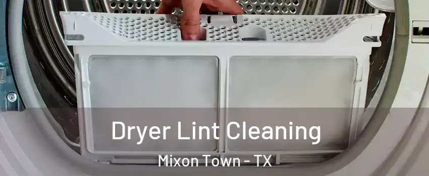 Dryer Lint Cleaning Mixon Town - TX