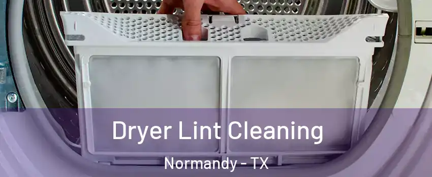 Dryer Lint Cleaning Normandy - TX