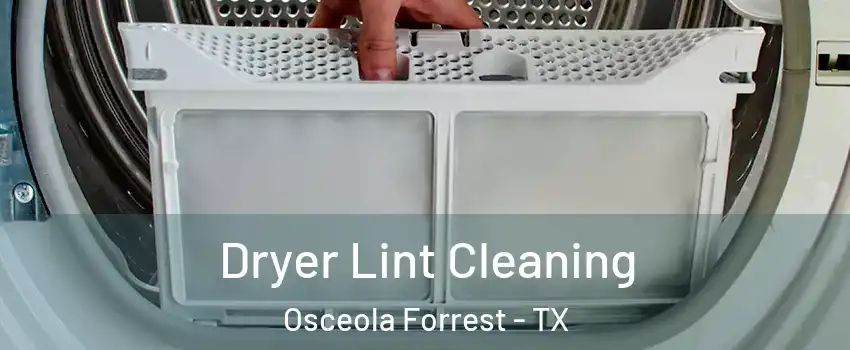 Dryer Lint Cleaning Osceola Forrest - TX