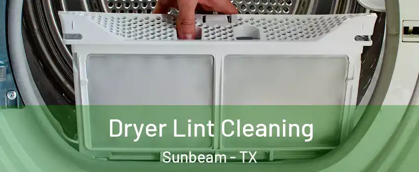 Dryer Lint Cleaning Sunbeam - TX