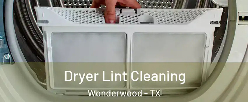 Dryer Lint Cleaning Wonderwood - TX