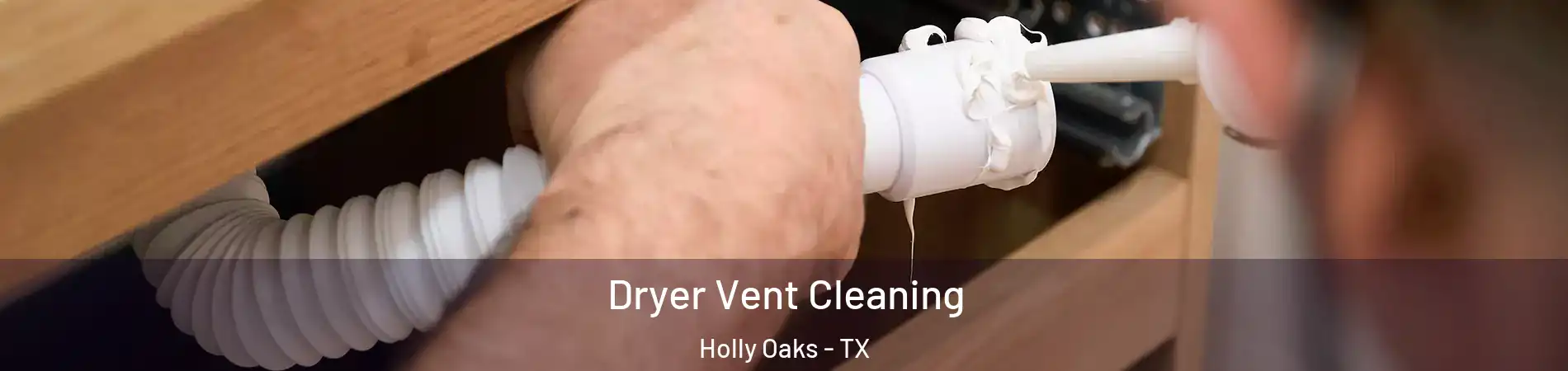 Dryer Vent Cleaning Holly Oaks - TX