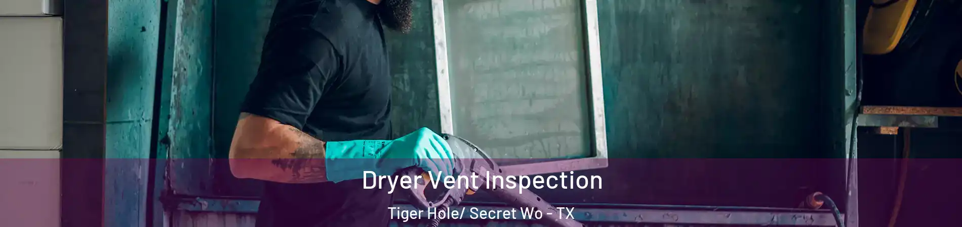 Dryer Vent Inspection Tiger Hole/ Secret Wo - TX