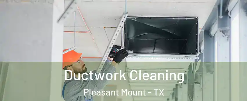 Ductwork Cleaning Pleasant Mount - TX