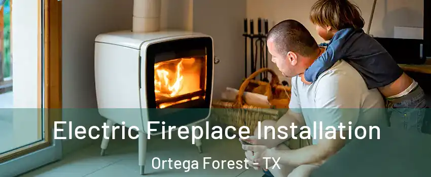 Electric Fireplace Installation Ortega Forest - TX