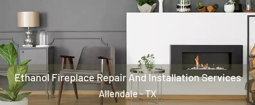 Ethanol Fireplace Repair And Installation Services Allendale - TX