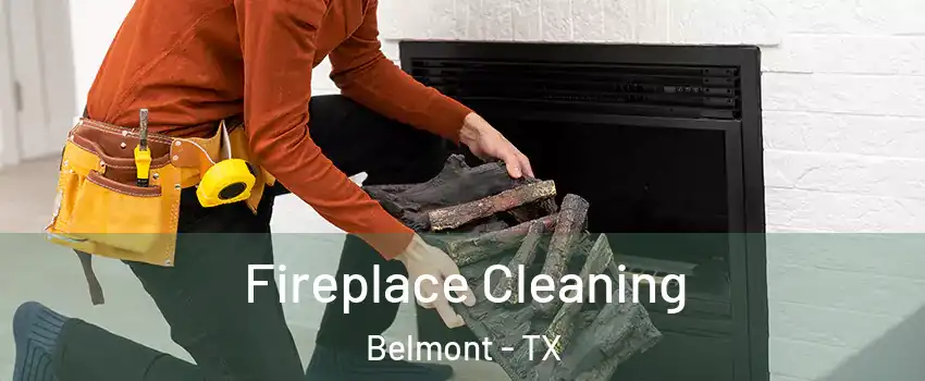 Fireplace Cleaning Belmont - TX