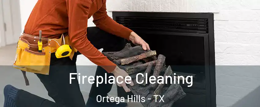 Fireplace Cleaning Ortega Hills - TX