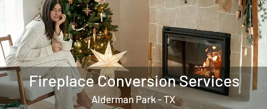 Fireplace Conversion Services Alderman Park - TX