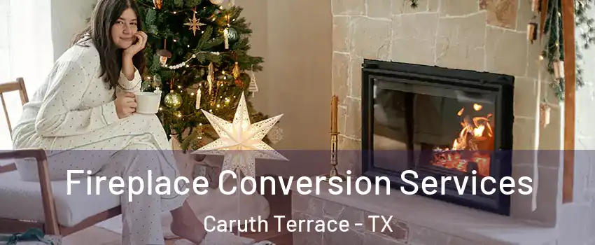 Fireplace Conversion Services Caruth Terrace - TX