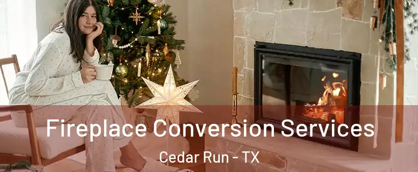 Fireplace Conversion Services Cedar Run - TX