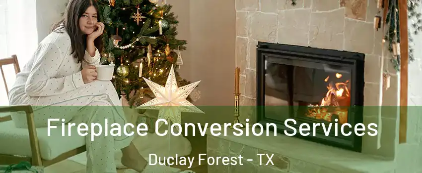 Fireplace Conversion Services Duclay Forest - TX