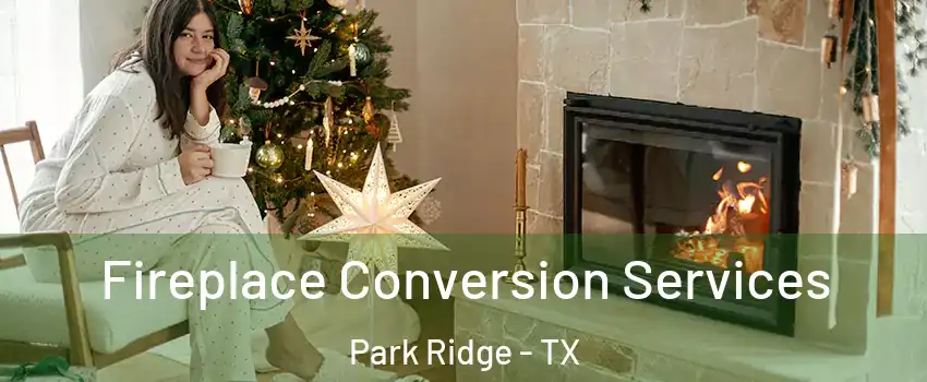 Fireplace Conversion Services Park Ridge - TX