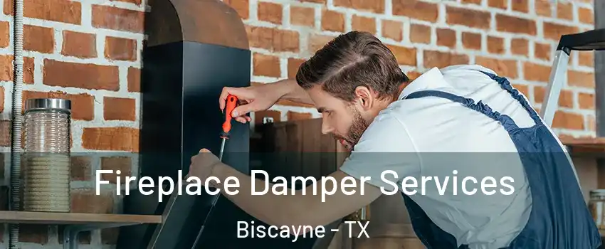 Fireplace Damper Services Biscayne - TX