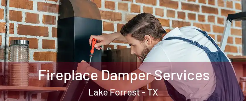 Fireplace Damper Services Lake Forrest - TX