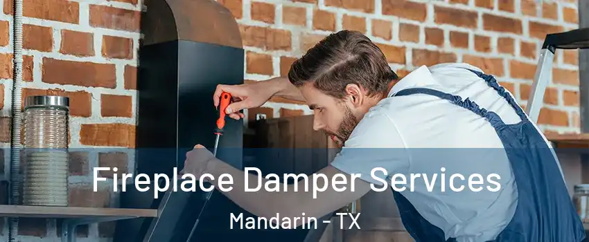 Fireplace Damper Services Mandarin - TX