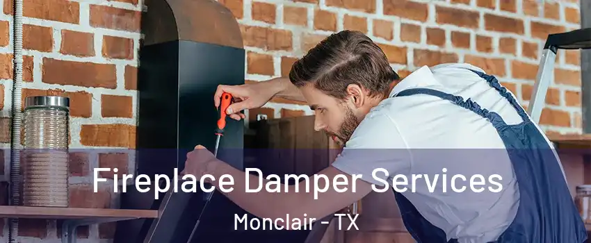 Fireplace Damper Services Monclair - TX